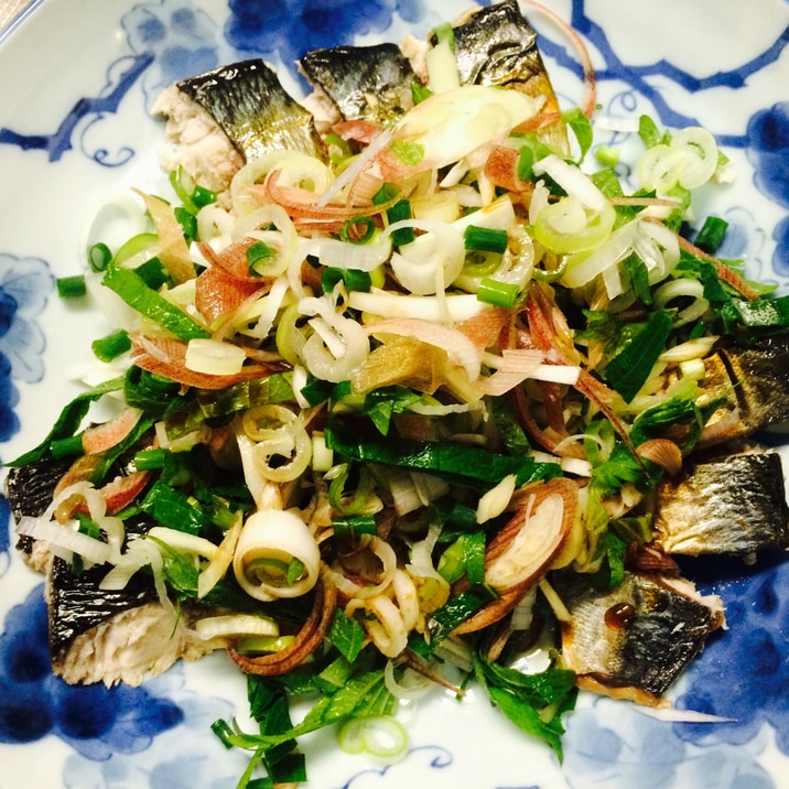 ガサツ料理 焼き〆鯖の薬味まみれ レシピ 作り方 By 水酉 楽天レシピ